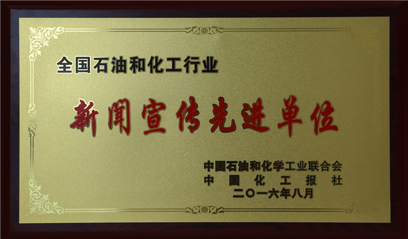新安集团报获奖1（2016）.JPG